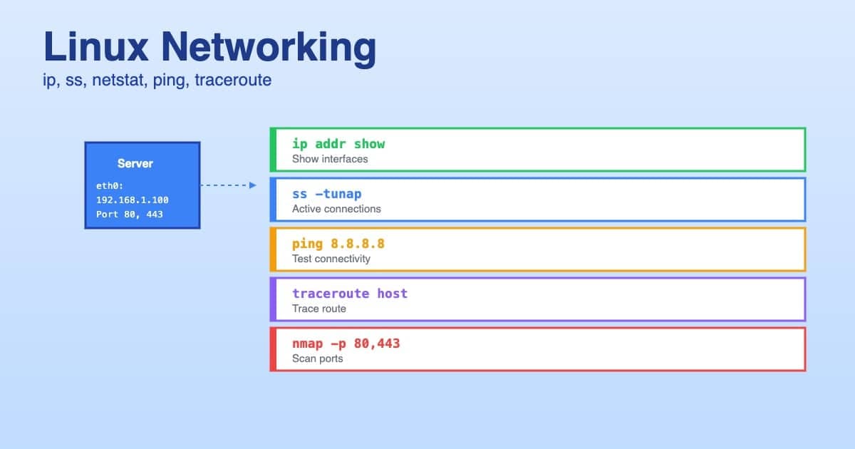 Réseau Linux 2026 : ip, ss, netstat, traceroute et diagnostic réseau complet